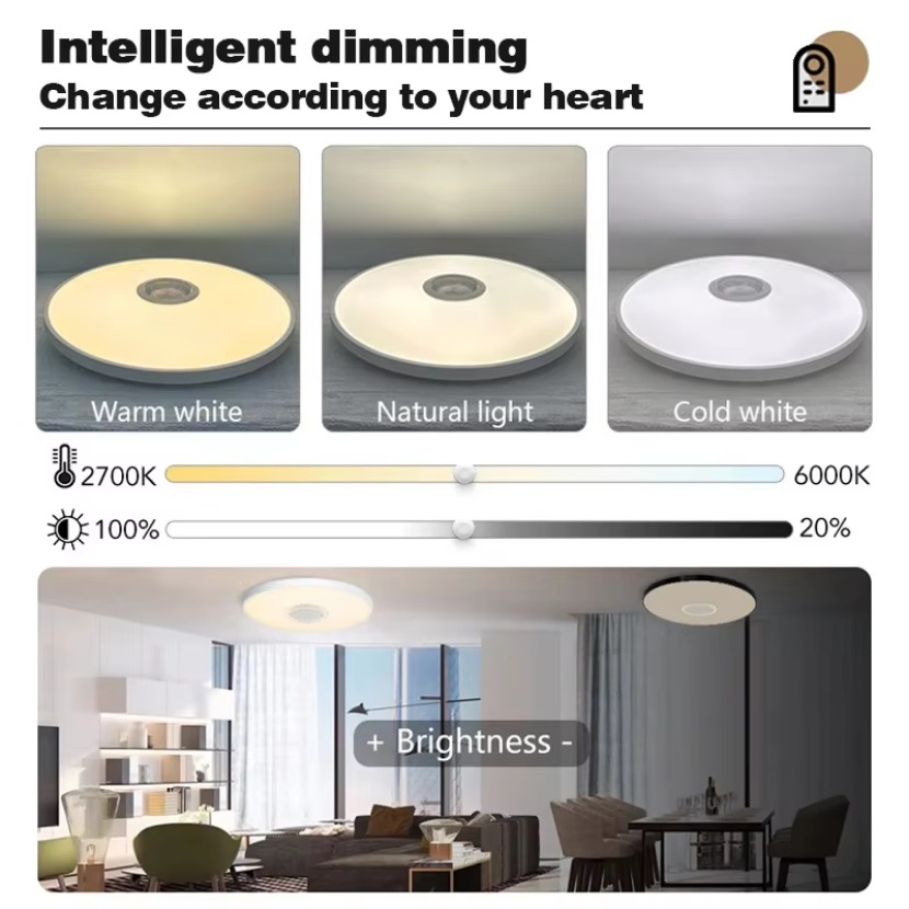 TUYA Smart Music Ceiling Light - Audio Music Apps recension och pris