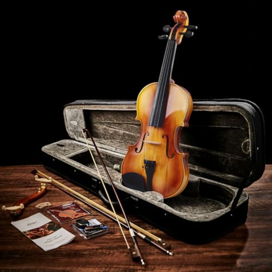 Full Size Violin Set for Adult - Violin Rosin Bow recension och pris